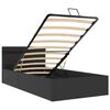 vidaXL Cama hidr&aacute;ulica almacenaje LED sin colch&oacute;n negro 100x200 cm