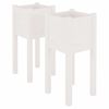 vidaXL Jardineras 2 uds madera maciza de pino blanco 31x31x70 cm