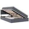 vidaXL Cama con almacenamiento Gris oscuro 140 x 200 cm Terciopelo