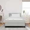 vidaXL Cama tipo Box Spring Gris Claro 120 x 190 cm Terciopelo