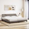 vidaXL Estructura de cama Dover tela gris taupe 200x200 cm