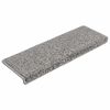 vidaXL Alfombrillas para escaleras 10 unidades 65x21x4 cm Gris Borde Rectangular