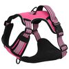 vidaXL Arnés para perros con correa y collar ajustable rosa M