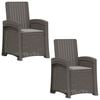 vidaXL Sill&oacute;n de jard&iacute;n reclinable imitaci&oacute;n rat&aacute;n 2 uds. Gris Claro
