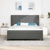 vidaXL Cama tipo Box Spring con colch&oacute;n Gris oscuro 180 x 200 cm tela
