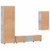 vidaXL Conjunto de mueble de TV con caj&oacute;n FLORIN Gris Concreto