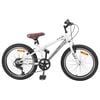 vidaXL Bicicleta de Monta&ntilde;a 24 Pulgadas 6-Speed para 8-12 a&ntilde;os
