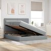 vidaXL Cama con almacenamiento y LED Gris Claro 160 x 200 cm Poli&eacute;ster