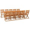 vidaXL Set comedor de jard&iacute;n 11piezas madera maciza acacia 280x90x75cm