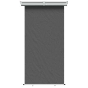 vidaXL Toldo lateral para balc&oacute;n 100% poli&eacute;ster hierro acero