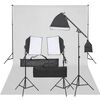 vidaXL Kit de estudio fotogr&aacute;fico con set de luces y fondo