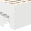 Imagen en miniatura del producto 10 de 15