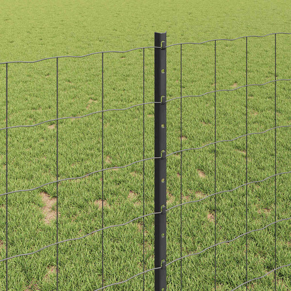 Mostrando imagen del producto 4 de 14