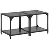 vidaXL Mesas de centro 2 uds vidrio negro y acero 40x40x40 cm