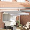vidaXL Toldo Retráctil 300 x 250 cm Gris claro