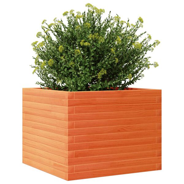 vidaXL Jardinera de madera maciza de pino marr&oacute;n cera 60x60x45,5 cm