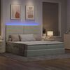 vidaXL Cama con tira de luces LED Gris Claro 180 x 200 cm Terciopelo