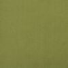 vidaXL Reposapi&eacute;s de terciopelo verde claro 78x56x32 cm