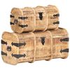 vidaXL Cofres de almacenamiento 2 unidades madera maciza de mango