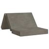 vidaXL Sof&aacute; Cama Plegable 100 x 67 x 45 cm Gris Claro