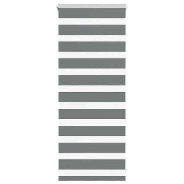 vidaXL Estor cebra gris oscuro 60x100cm tejido ancho 55,9 cm poliéster
