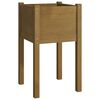 vidaXL Jardinera de madera maciza de pino marr&oacute;n miel 40x40x70 cm