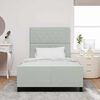 vidaXL Cama tipo Box Spring Gris claro 120 x 200 cm Terciopelo
