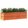 vidaXL Jardinera exterior madera maciza pino marrón cera 180x50x50cm