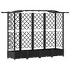 vidaXL Cama elevada con trellis y techo Negro 203,5 x 40 x 125 cm PP