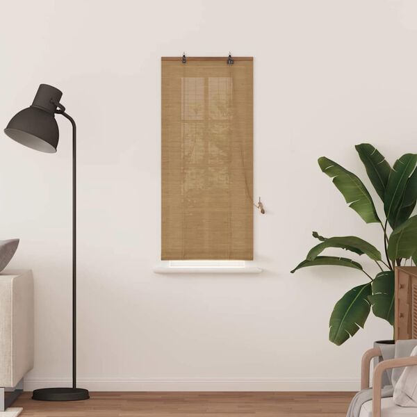 vidaXL Estor enrollable Marrón 60 x 160 cm Bambú