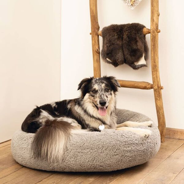 Beeztees Cama para perros de espuma viscoel&aacute;stica Jaxx gris 50x20 cm