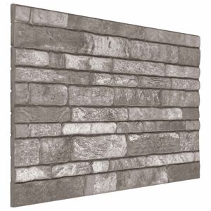 vidaXL Paneles de pared 10 uds. 100 x 50 cm Gris oscuro Espuma EPS