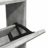 vidaXL Zapatero y espejo 5 niveles gris hormig&oacute;n 63x17x169,5 cm
