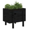 vidaXL Jardinera de madera maciza de pino negro 62x50x57 cm