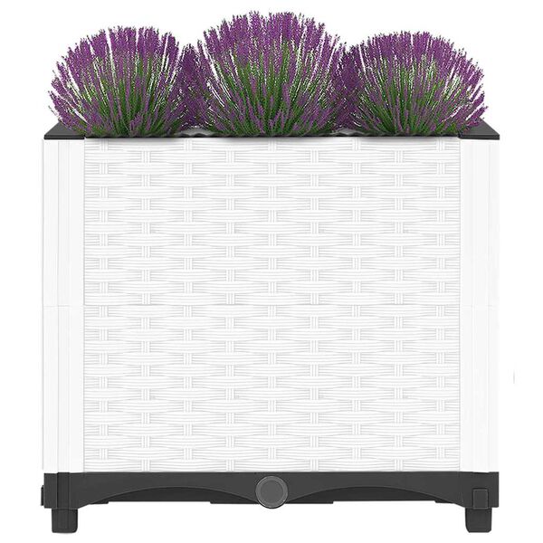 Mostrando imagen del producto 3 de 8