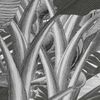 Imagen en miniatura del producto 4 de 7