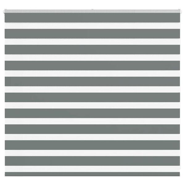 vidaXL Estor cebra gris oscuro tejido ancho 155,9 cm poli&eacute;ster