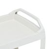 vidaXL Carrito de bebidas plástico blanco 69x53x72 cm