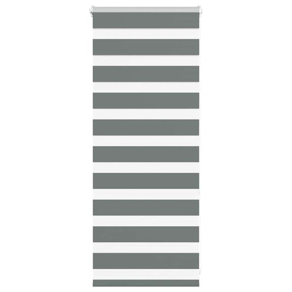 vidaXL Estor cebra gris oscuro 65x100cm tejido ancho 60,9 cm poli&eacute;ster
