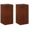 vidaXL Soporte de plantas 2 pcs Oxidado 30 x 30 x 60 cm Acero oxidado