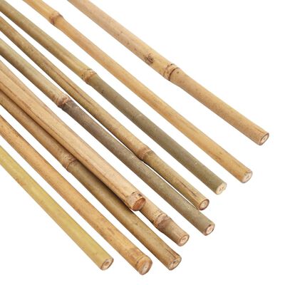 vidaXL Estacas de bambú para jardín 50 piezas 170 cm
