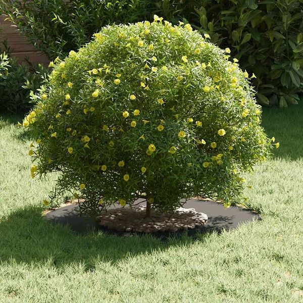 vidaXL adecuado para Anillo de Árbol Plano Negro Ø30 / 60 cm Acero