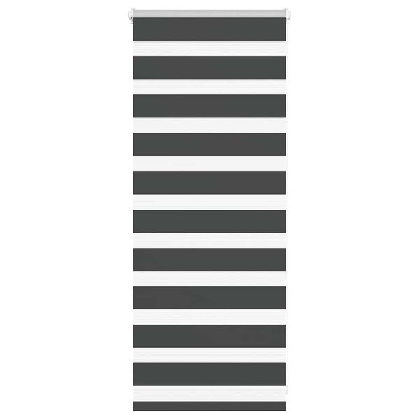 vidaXL Estor cebra negro 65x100 cm tejido ancho 60,9 cm poliéster