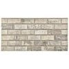 vidaXL Paneles de pared 10 uds. 100 x 50 cm Arena Espuma EPS