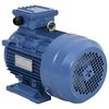 vidaXL Motor el&eacute;ctrico trif&aacute;sico aluminio 3kW/4HP 2 polos 2840 RPM