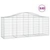 vidaXL Cestas de gaviones 40 uds forma de arco hierro 200x50x80/100 cm