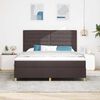 vidaXL Cama Box Spring LED con colch&oacute;n Marr&oacute;n Oscuro 180 x 200 cm tela