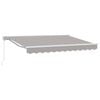 vidaXL Estructura del Toldo Gris Claro 250 x 200 cm