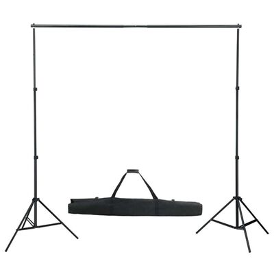 vidaXL Kit de estudio fotográfico con focos softbox y telón de fondo