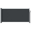 vidaXL Toldo lateral retr&aacute;ctil Negro 300 x 100 cm Poli&eacute;ster